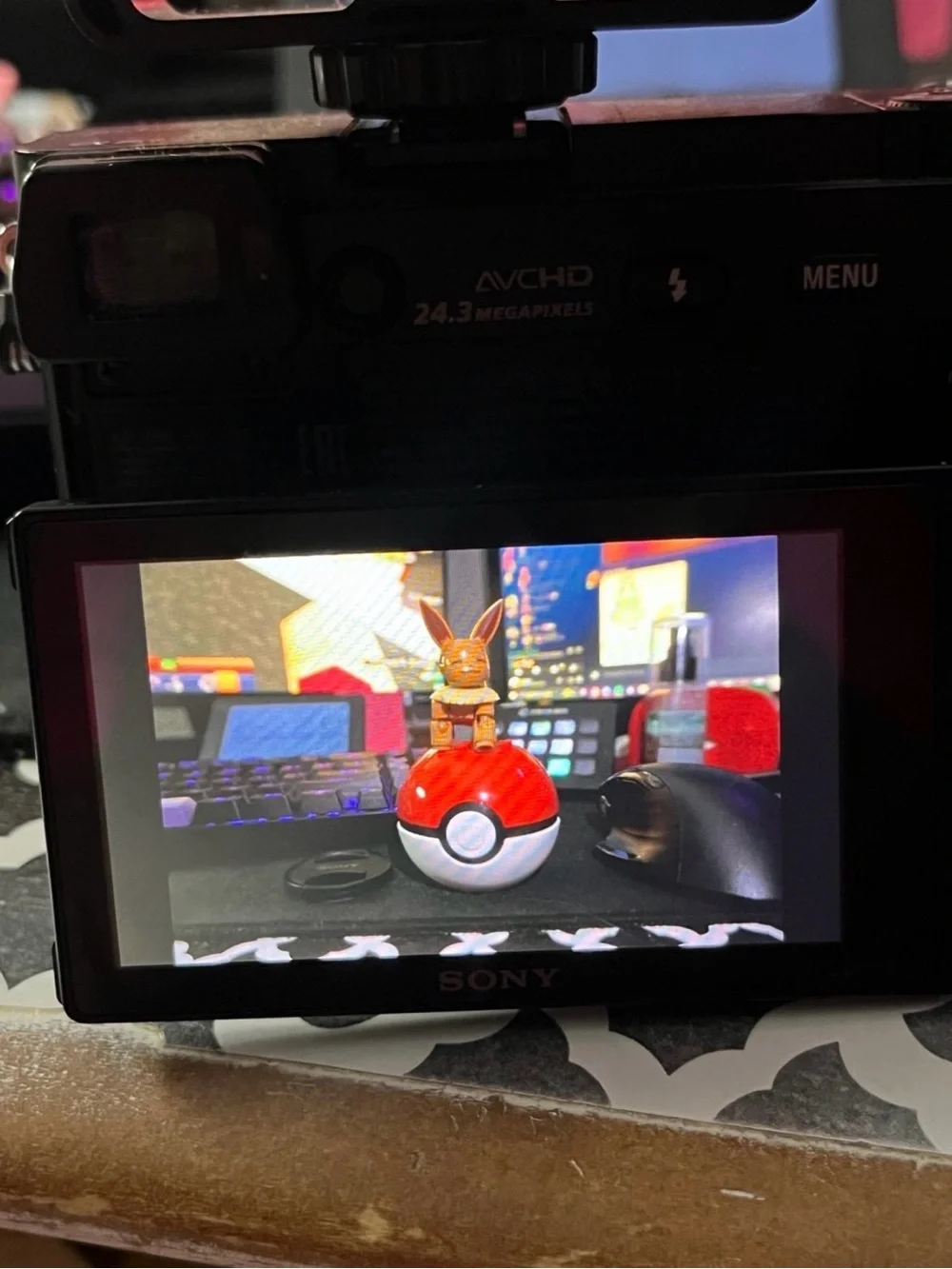 Sony A6000 Camera with Video Viewer Attachment!